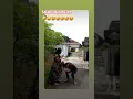 Download Lagu kompulan video salah sasaran #lucu #hiburan #beranda #funny