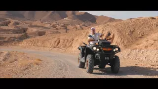                     دندنها
