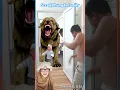 Download Lagu Adek di kejar hantu guguk ⁉️😬 @PhungAnfamily #shorts #funny #dubbing