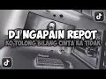 Download Lagu DJ KO TOLONG BILANG CINTA KA TIDAK || NGAPAIN REPOT VIRAL TIKTOK SLOW REMIX FULL SONG MAMAN FVNDY