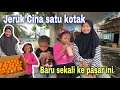 Download Lagu JERUK CINA SATU KOTAK⁉️ BARU SEKALI KE PASAR INI BANYAK YANG MARILES