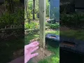 Backyard Zip line DIY Purchased Amazon 12 ft post cement reinforced w guy-wire