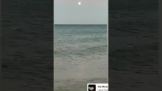 علي موج بحر لينا شماميان 