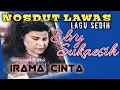 Download Lagu nosdut sedih elvy sukaesih irama cinta