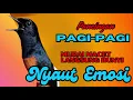 Download Lagu PANCINGAN PAGI-PAGI AGAR MURAI GACOR❗❗ MURAI MACET PASTI NYAUT EMOSI❗❗