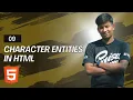 HTML Character Entities Explained Special Characters Made Easy A Beginner s Guide
