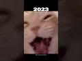 Download Lagu Laughing Cat meme😂 #shorts #memes #cat