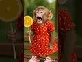 The monkey is so cute💖😍😍 funny video #funny #cute