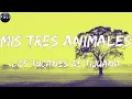 Los Tucanes De Tijuana - Mis Tres Animales (Letras)