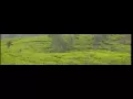 Download Lagu BORONDONG GARING - NINING MEIDA