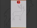 How to draw a Deer