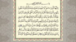 سورة الممتحنة من المصحف المرتل المصور بصوت الشيخ مشاري راشد العفاسي 