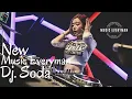 Download Lagu Best Alan Walker Remix || DJ Soda Music Video HD - (Time Flash) Best EDM - Music Everyman