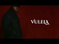Lagu Vulela — Caramelized Music (feat. Teddy Moloi, Tonic Blue \u0026 Leo B) | Official Visualiser
