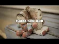 Download Lagu BONEKA YANG SEDIH - JKT48 (LIRIK48)