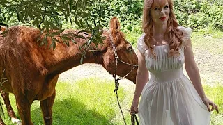 tater and dainty rascal at heart of gold sanctuary