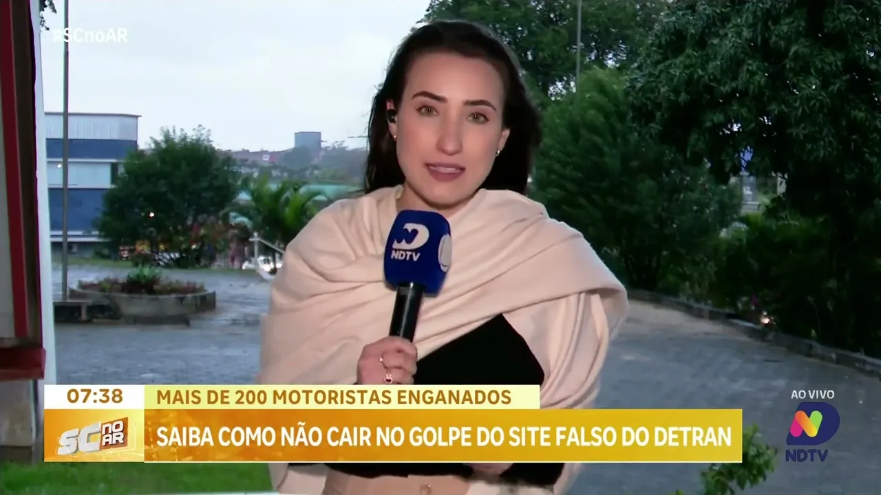 Saiba como não cair no golpe do site falso do Detran