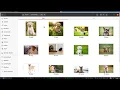 Object Recognition Model in IBM watson studio