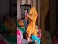 Download Lagu Dekhiye Super fast dance 🤣 hasi ni rukegi #viral #video #dance