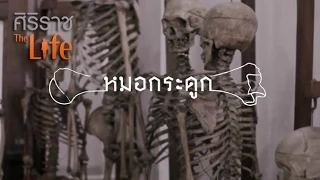 ออร์โธปิดิกส์ คืออะไร และครอบคลุมอวัยวะใดบ้าง