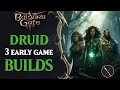 Baldur s Gate 3 Druid Build Guide - Early Game Druid Builds Including Multiclassing