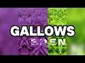 Download Lagu STIM - gallows (Official Lyric Video)
