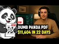 How a Dumb Panda PDF Made Me 11 604 in 22 Days
