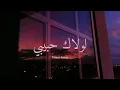 tamer hosny-loolak habibi  تامر حسني-لولاك حبيبي  (lirik + terjemahan indonesia)