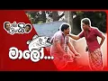 Download Lagu Maloo.....මාලෝ.....