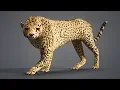 Creating a Blender 2 8 Voxelize Python Script - Beginner Tutorial
