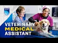 Discover the Veterinary Medical Assistant Program at NAIT