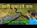Lagu नेपालमै भेटियो यस्तो अचम्मको ठाउँ | जङ्गलभित्र अचम्मको पानी घुम्ने ठाउँ | नागले बनाएको रहस्य