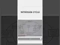 Labelled diagram of nitrogen cycle