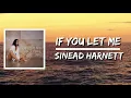 If You Let Me (Lyrics) by Sinead Harnett
