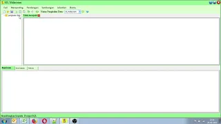 SIL - MALAY POSTGRESQL USER DEFINED FUNCTION WITH CASE STATEMENT