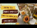 Learn How to Print and Cut this Coloring Suitcase Box Assembly Tutorial
