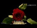 Download Lagu Alleycat - Sekuntum Mawar Merah Sebuah Puisi
