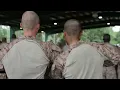 F CO MCMAP