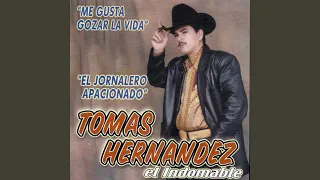 El Minero