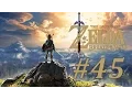 Switch The Legend of Zelda Breath of the Wild - Finding Cuccos Part 45 No Commentary