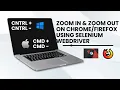 Zoom In Zoom Out on Chrome Firefox using Selenium