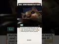 Download Lagu Kesedihan Kucing Memangis Saat Makan #cat #video #kucing #kucinglucu #lucu