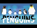 Penguins for Kids Interesting Facts - Different Types of Penguins for Children Kids Academy