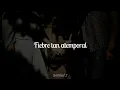 Silvestre y La Naranja - Fiebre Atemporal | Letra