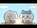 Download Lagu 【公式】『ちいかわ』第274話「涸れた⑦／つっぱっぱ」※1週間限定配信＜9/16 (火)AM7:59まで＞