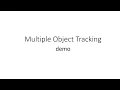 Multiple Object Tracking demo