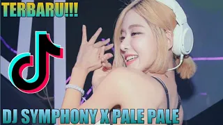 Download DJ PALE PALE X SYMPHONY TERBARU 2020 || SANTUY MP3