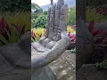 Lagu SIRAO PICTORIAL GARDEN #music #shortsviral #travel