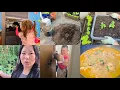 Download Lagu Esther likes recycling||Kitchen waste turn into compost|Transplanting king chillies|Chicken curry.