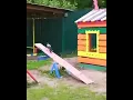 Download Lagu Corvo brincando consigo mesmo no playground das crianças. Haha